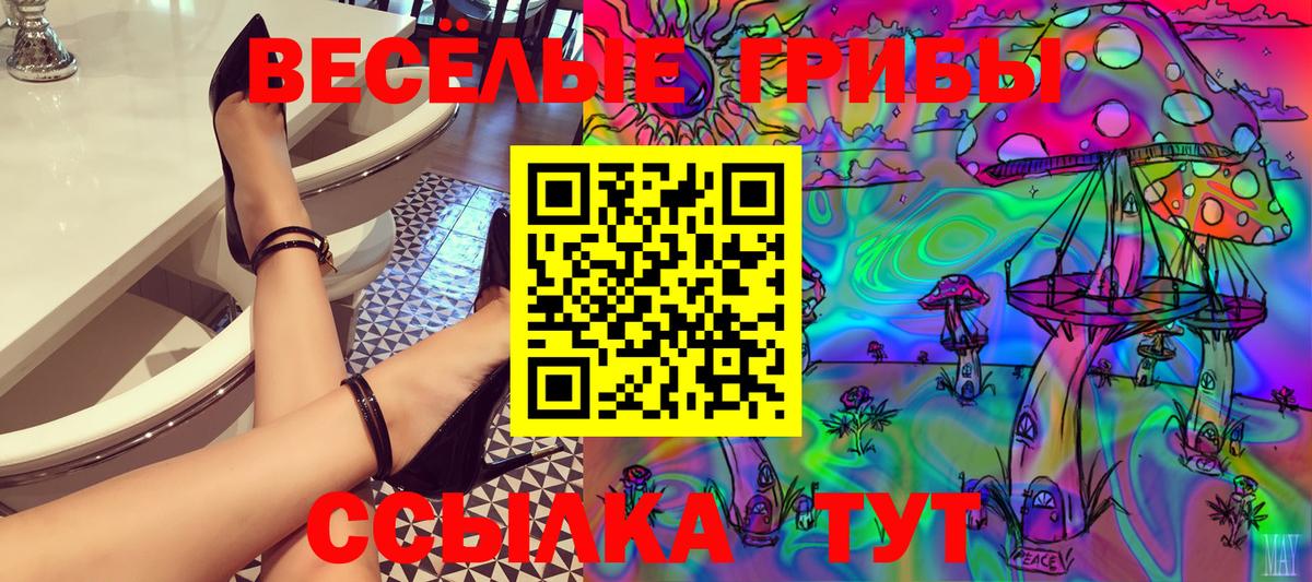 Псилоцибиновые грибы Cubensis  Вход с VPN  где купить наркотик  Отрадный 